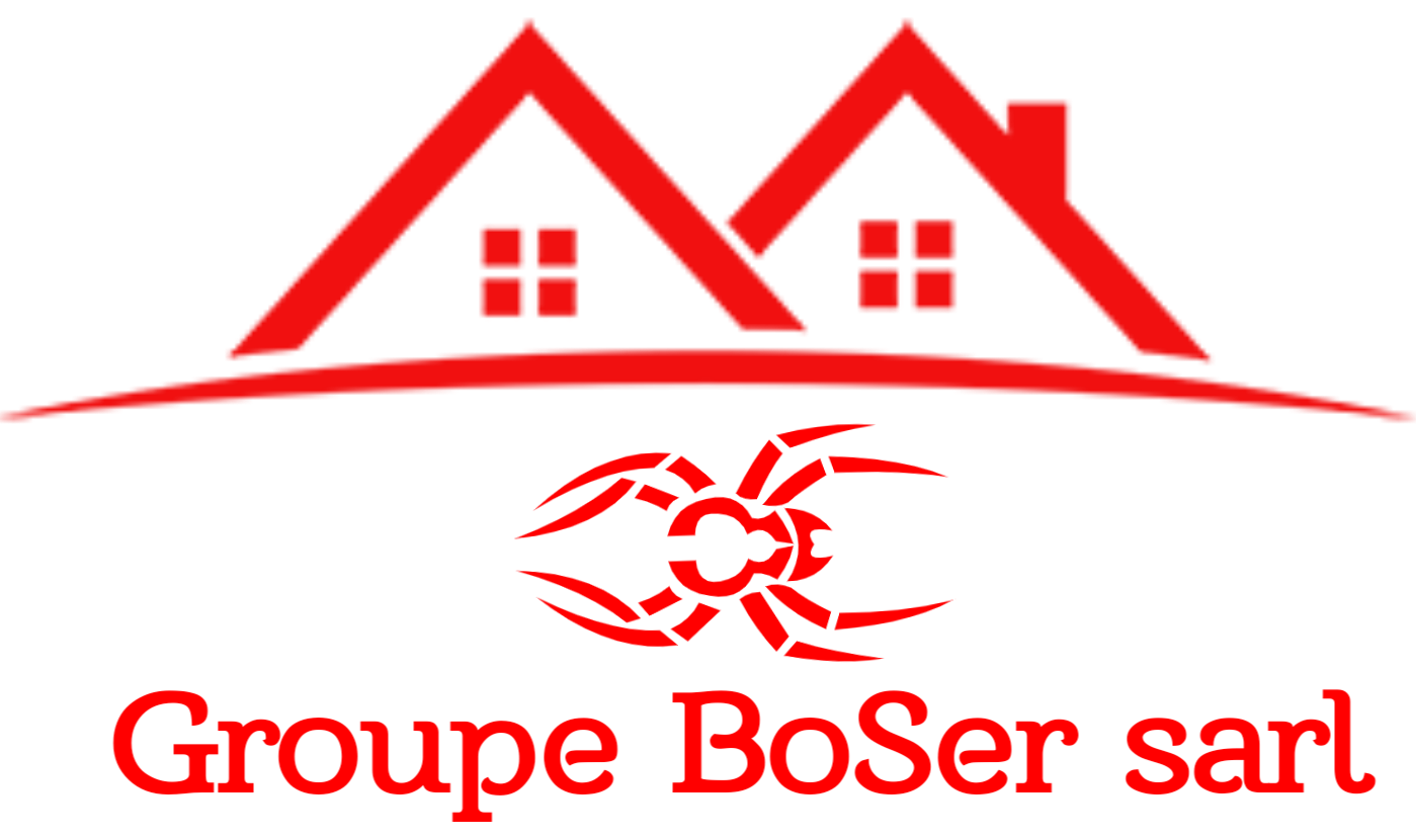 logo de BoSer